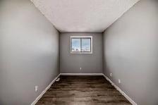 5 Beds   Dinning/Liv    3Car Parking  yard   Patio:2-Story in NE - Photo 6