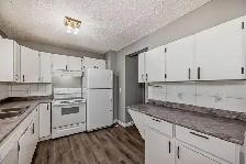 5 Beds   Dinning/Liv    3Car Parking  yard   Patio:2-Story in NE - Photo 8
