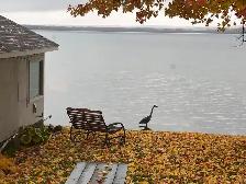 Lake Simcoe in Orillia 3 bedroom avail Sep 1 2026 - Photo 10