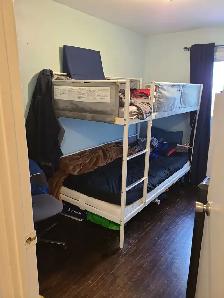 ODSP AND OW ACCEPTED private amd sharing rooms available now - Photo 7