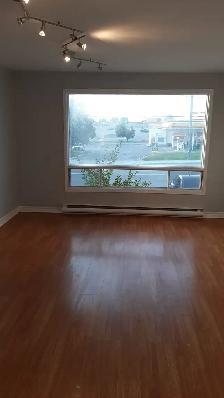 Studio Apartment next to Place d'Orleans -Above Ground - Photo 7