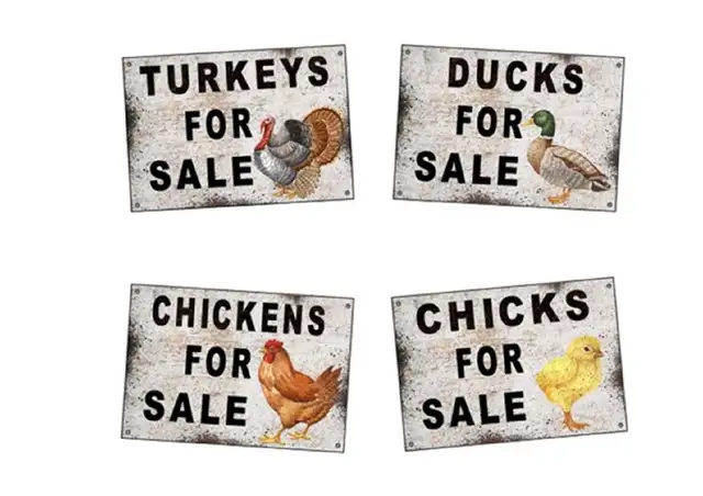 Poultry For Sale by Auction