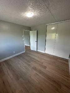 Newly renovated One Bedroom in Minnow Lake - Photo 6