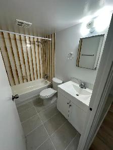 Newly renovated One Bedroom in Minnow Lake - Photo 8