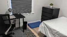 Immed/ 2 ROOM-Preston/Somerset, 20m/Carleton-20m/OttawaU-VIDEO's - Photo 4