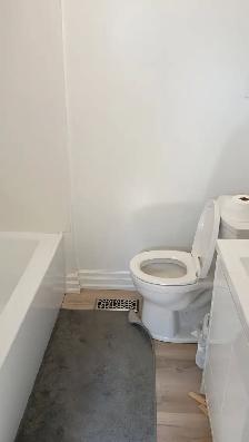 Immed/ 2 ROOM-Preston/Somerset, 20m/Carleton-20m/OttawaU-VIDEO's - Photo 8