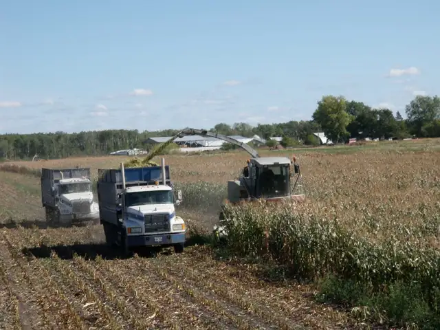 truck driver needed