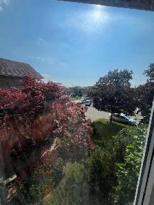 ONE Private BEDROOM FOR RENT $800 - Eglinton AVE & Creditview - Photo 7