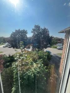 ONE Private BEDROOM FOR RENT $800 - Eglinton AVE & Creditview - Photo 8
