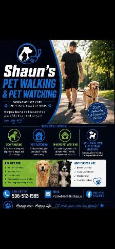 dog walker or sitter