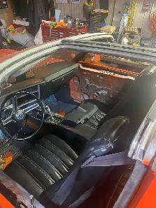 Roadrunner - Photo 4