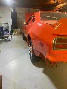 Roadrunner - Photo 6