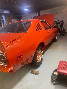 Roadrunner - Photo 7