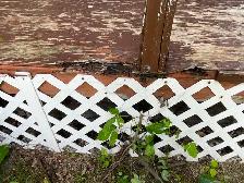 Wanted Vinyl deck installer and carpenter - Photo 5