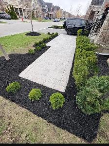 Same day - Landscaping