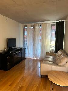 Downtown, fully furnished, lowney, Griffintown, Condo - Photo 4