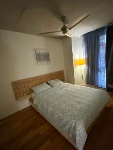 Downtown, fully furnished, lowney, Griffintown, Condo - Photo 5