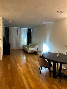 Downtown, fully furnished, lowney, Griffintown, Condo - Photo 6