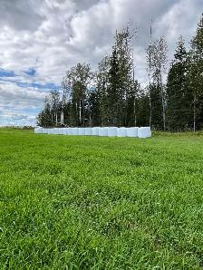 Grass Hay Silage Bales