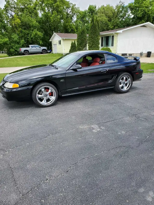 Head turning 95 Mustang GT