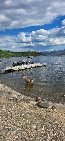 Birchbay resort Rv lot 26 - Photo 3