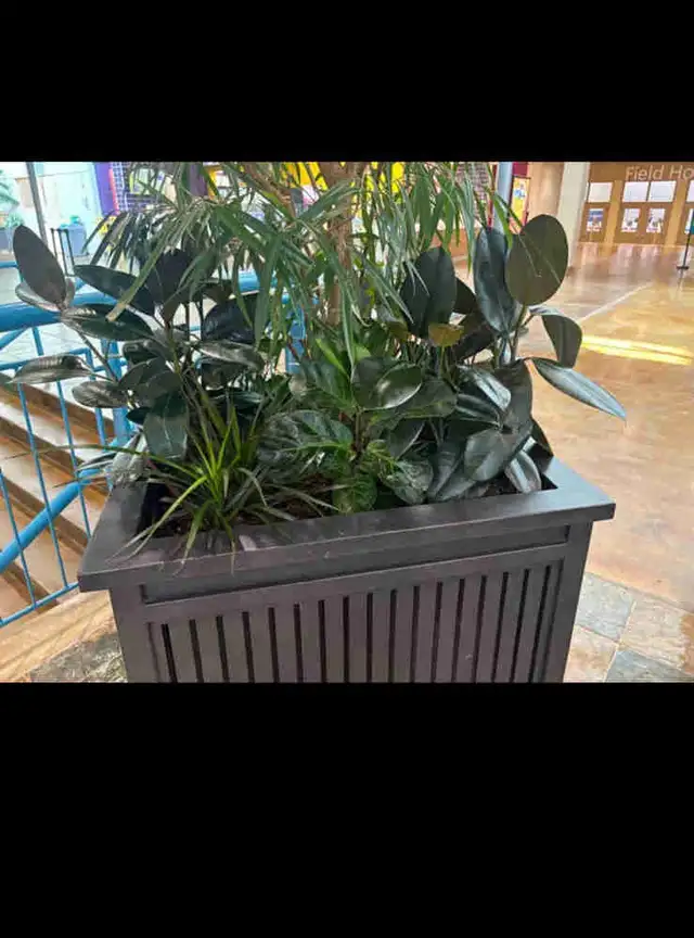 Plant Decor is Hiring