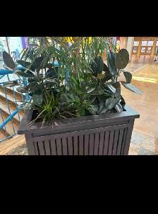 Plant Decor is Hiring