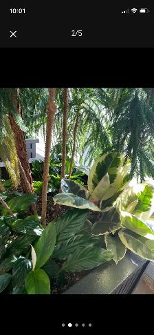 Plant Decor is Hiring - Photo 2