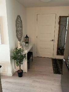 Appartement condo
