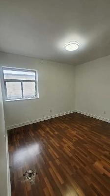 Bright & Quiet Top-Floor 1-Bedroom – Bloorcourt Village - Photo 5