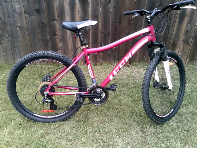 CCM 24 Speed Mountain Bike