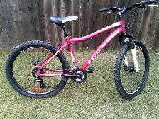 CCM 24 Speed Mountain Bike