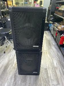 Peavey 110DL Passive Speaker Pair