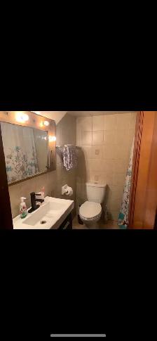 High Park Blvd-Roncesvalles Bright Clean & quiet 1 Bdrm - Photo 4