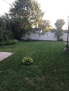 4 1/2 St Hubert, terrasse pour BBQ Octobre (1358-1) - Photo 11