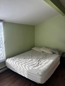 Très belle et grande chambre à louer, Marie Incarnation libre - Photo 7