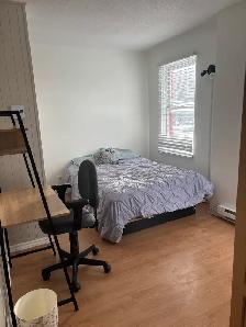 Très belle et grande chambre à louer, Marie Incarnation libre - Photo 15