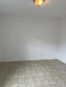Beau grand 5 1/2, Lévis , 3e étage libre PROMO - Photo 14