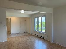 Très beau grand loft, grandeur 3 1/2 air ouverte Lévis - Photo 3