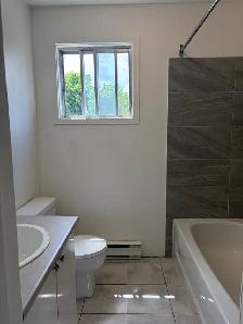 Très beau grand loft, grandeur 3 1/2 air ouverte Lévis - Photo 6