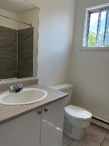Très beau grand loft, grandeur 3 1/2 air ouverte Lévis - Photo 8