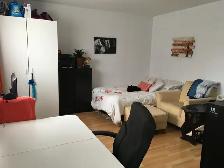 Beau logement 1 1/2 prés Université sur Hochelaga libre - Photo 5