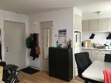 Beau logement 1 1/2 prés Université sur Hochelaga libre - Photo 7