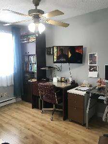 Superbe grand 4 1/2 Lévis rue Chateaubriand septembre - Photo 10
