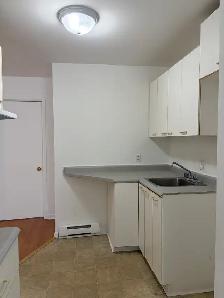 Très beau grand 3 1/2 Montmorency LIBRE, frais peint ! - Photo 2