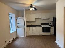 Très beau 3 1/2 Rez de Chaussé, rue Boisseau Libre - Photo 2