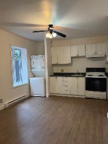 Très beau 3 1/2 Rez de Chaussé, rue Boisseau Libre - Photo 6