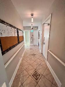 Très belle grande chambre à louer, Ste-Foy, Libre - Photo 10