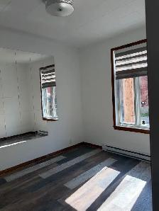 Très beau et grand 6 1/2, Saint-Sauveur LIBRE Terrasse arrière - Photo 15