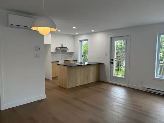 Magnifique 4 1/2, construction neuve, Vanier, libre